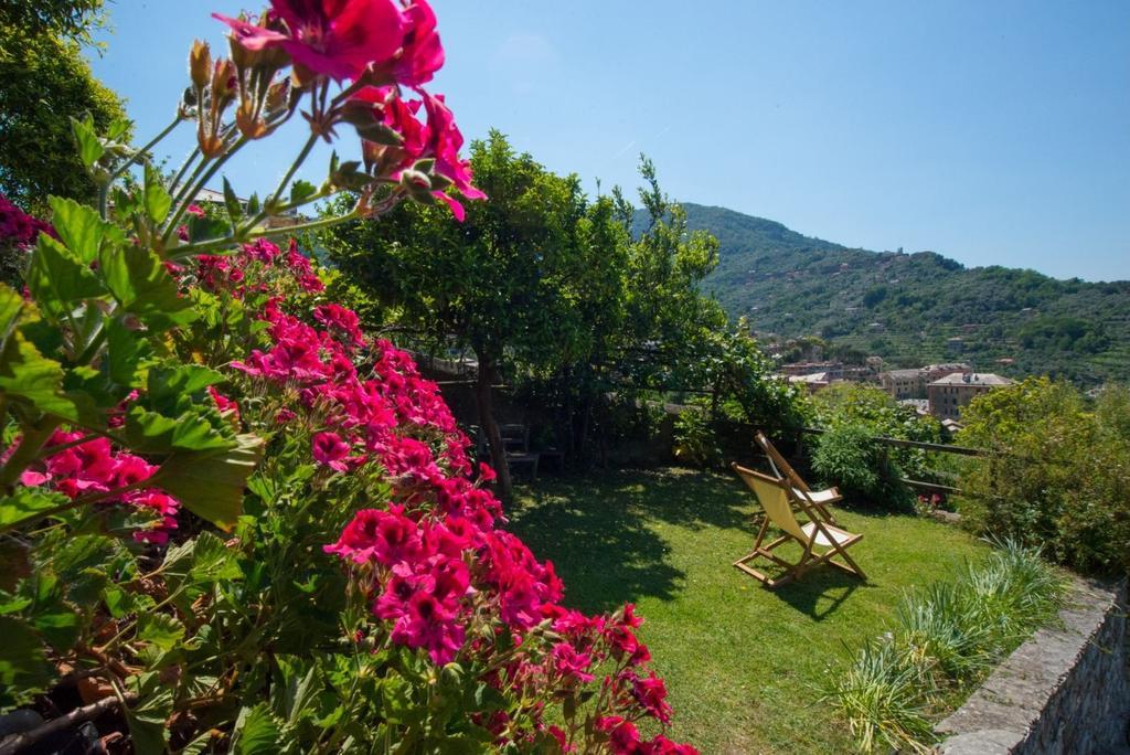 Le Clementine B&B Camogli Extérieur photo